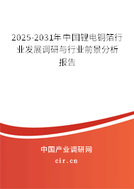 2025-2031年中國鋰電銅箔行業(yè)發(fā)展調研與行業(yè)前景分析報告