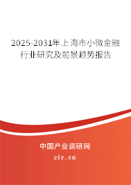 2025-2031年上海市小微金融行業(yè)研究及前景趨勢報告 2025-2031年上海市小微金融行業(yè)研究及前景趨勢報告