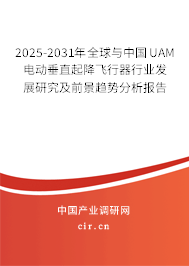 2025-2031年全球與中國UAM電動垂直起降飛行器行業(yè)發(fā)展研究及前景趨勢分析報告