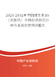 2025-2031年中國(guó)維生素B5（泛酸鈣）市場(chǎng)現(xiàn)狀研究分析與發(fā)展前景預(yù)測(cè)報(bào)告