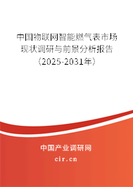 中國物聯(lián)網智能燃氣表市場現狀調研與前景分析報告(2025-2031年) 中國物聯(lián)網智能燃氣表市場現狀調研與前景分析報告(2025-2031年)