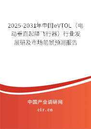 2025-2031年中國eVTOL(電動(dòng)垂直起降飛行器)行業(yè)發(fā)展研及市場(chǎng)前景預(yù)測(cè)報(bào)告 2025-2031年中國eVTOL(電動(dòng)垂直起降飛行器)行業(yè)發(fā)展研及市場(chǎng)前景預(yù)測(cè)報(bào)告