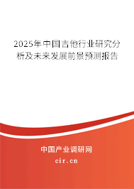 2024年中國(guó)吉他行業(yè)研究分析及未來發(fā)展前景預(yù)測(cè)報(bào)告