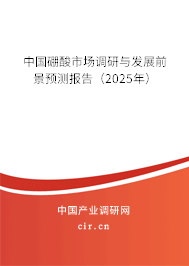 中國硼酸市場調(diào)研與發(fā)展前景預(yù)測報告(2025年) 中國硼酸市場調(diào)研與發(fā)展前景預(yù)測報告(2025年)