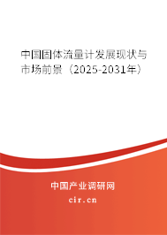 中國固體流量計發(fā)展現(xiàn)狀與市場前景(2025-2031年) 中國固體流量計發(fā)展現(xiàn)狀與市場前景(2025-2031年)