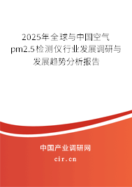 2025年全球與中國空氣pm2.5檢測儀行業(yè)發(fā)展調研與發(fā)展趨勢分析報告