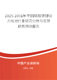 2025-2031年中國(guó)磷酸鐵鋰動(dòng)力電池行業(yè)研究分析與前景趨勢(shì)預(yù)測(cè)報(bào)告 2025-2031年中國(guó)磷酸鐵鋰動(dòng)力電池行業(yè)研究分析與前景趨勢(shì)預(yù)測(cè)報(bào)告