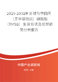 2025-2031年全球與中國三（三甲基硅烷）硼酸酯（TMSB）發(fā)展現(xiàn)狀及前景趨勢分析報告