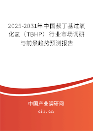 2025-2031年中國(guó)叔丁基過(guò)氧化氫(TBHP)行業(yè)市場(chǎng)調(diào)研與前景趨勢(shì)預(yù)測(cè)報(bào)告 2025-2031年中國(guó)叔丁基過(guò)氧化氫(TBHP)行業(yè)市場(chǎng)調(diào)研與前景趨勢(shì)預(yù)測(cè)報(bào)告