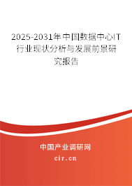2025-2031年中國(guó)數(shù)據(jù)中心IT行業(yè)現(xiàn)狀分析與發(fā)展前景研究報(bào)告