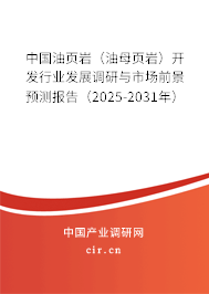 中國油頁巖（油母頁巖）開發(fā)行業(yè)發(fā)展調(diào)研與市場前景預(yù)測報告（2025-2031年）