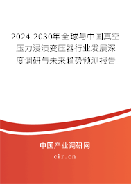 2024-2030年全球與中國真空壓力浸漬變壓器行業(yè)發(fā)展深度調研與未來趨勢預測報告