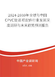 2024-2030年全球與中國(guó)CPVC管道和配件行業(yè)發(fā)展深度調(diào)研與未來(lái)趨勢(shì)預(yù)測(cè)報(bào)告 2024-2030年全球與中國(guó)CPVC管道和配件行業(yè)發(fā)展深度調(diào)研與未來(lái)趨勢(shì)預(yù)測(cè)報(bào)告