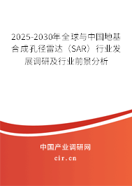 2025-2030年全球與中國地基合成孔徑雷達(dá)(SAR)行業(yè)發(fā)展調(diào)研及行業(yè)前景分析 2025-2030年全球與中國地基合成孔徑雷達(dá)(SAR)行業(yè)發(fā)展調(diào)研及行業(yè)前景分析