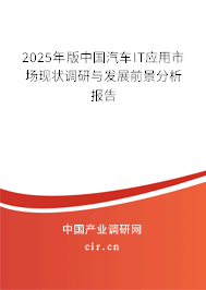2025年版中國(guó)汽車IT應(yīng)用市場(chǎng)現(xiàn)狀調(diào)研與發(fā)展前景分析報(bào)告