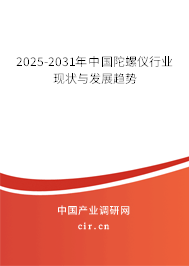 2025-2031年中國陀螺儀行業(yè)現(xiàn)狀與發(fā)展趨勢 2025-2031年中國陀螺儀行業(yè)現(xiàn)狀與發(fā)展趨勢
