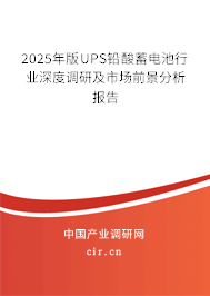 2025年版UPS鉛酸蓄電池行業(yè)深度調(diào)研及市場前景分析報告 2025年版UPS鉛酸蓄電池行業(yè)深度調(diào)研及市場前景分析報告