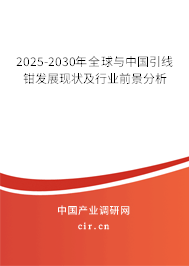 2025-2030年全球與中國(guó)引線鉗發(fā)展現(xiàn)狀及行業(yè)前景分析 2025-2030年全球與中國(guó)引線鉗發(fā)展現(xiàn)狀及行業(yè)前景分析