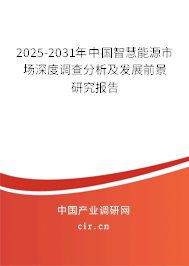 2025-2031年中國智慧能源市場深度調(diào)查分析及發(fā)展前景研究報告