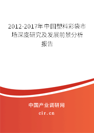 2012-2017年中國塑料彩袋市場深度研究及發(fā)展前景分析報告