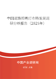 中國道路照明燈市場發(fā)展調(diào)研分析報告(2025年) 中國道路照明燈市場發(fā)展調(diào)研分析報告(2025年)