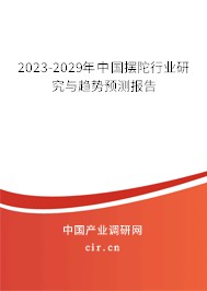 2023-2029年中國擺陀行業(yè)研究與趨勢預測報告