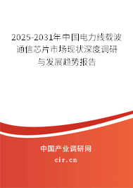 2025-2031年中國(guó)電力線載波通信芯片市場(chǎng)現(xiàn)狀深度調(diào)研與發(fā)展趨勢(shì)報(bào)告 2025-2031年中國(guó)電力線載波通信芯片市場(chǎng)現(xiàn)狀深度調(diào)研與發(fā)展趨勢(shì)報(bào)告