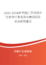 2025-2031年中國二三線城市綜合體行業(yè)發(fā)展全面調研及未來趨勢報告