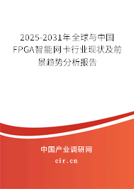 2025-2031年全球與中國FPGA智能網(wǎng)卡行業(yè)現(xiàn)狀及前景趨勢分析報告