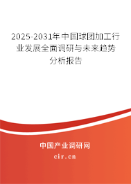 2025-2031年中國(guó)球團(tuán)加工行業(yè)發(fā)展全面調(diào)研與未來(lái)趨勢(shì)分析報(bào)告 2025-2031年中國(guó)球團(tuán)加工行業(yè)發(fā)展全面調(diào)研與未來(lái)趨勢(shì)分析報(bào)告