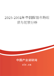 2025-2031年中國探管市場現(xiàn)狀與前景分析