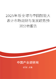 2025年版全球與中國智能大表計市場調研與發(fā)展趨勢預測分析報告