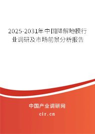 2025-2031年中國降解地模行業(yè)調(diào)研及市場前景分析報告