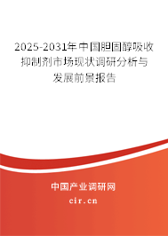 2025-2031年中國膽固醇吸收抑制劑市場現(xiàn)狀調(diào)研分析與發(fā)展前景報告 2025-2031年中國膽固醇吸收抑制劑市場現(xiàn)狀調(diào)研分析與發(fā)展前景報告