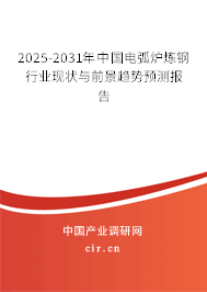 2025-2031年中國電弧爐煉鋼行業(yè)現(xiàn)狀與前景趨勢預(yù)測報告