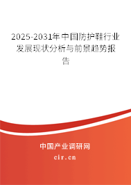2024-2030年中國防護鞋行業(yè)發(fā)展現狀分析與前景趨勢報告
