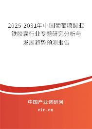2025-2031年中國葡萄糖酸亞鐵膠囊行業(yè)專題研究分析與發(fā)展趨勢預測報告