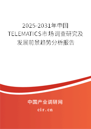 2025-2031年中國TELEMATICS市場調(diào)查研究及發(fā)展前景趨勢分析報告