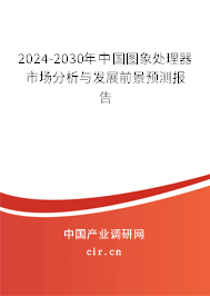 2024-2030年中國圖象處理器市場分析與發(fā)展前景預測報告