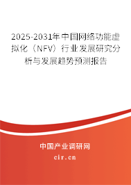 2025-2031年中國網(wǎng)絡(luò)功能虛擬化(NFV)行業(yè)發(fā)展研究分析與發(fā)展趨勢預(yù)測報(bào)告 2025-2031年中國網(wǎng)絡(luò)功能虛擬化(NFV)行業(yè)發(fā)展研究分析與發(fā)展趨勢預(yù)測報(bào)告