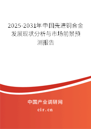 2025-2031年中國先進銅合金發(fā)展現(xiàn)狀分析與市場前景預測報告