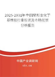 2025-2031年中國(guó)星形支化丁基橡膠行業(yè)現(xiàn)狀及市場(chǎng)前景分析報(bào)告