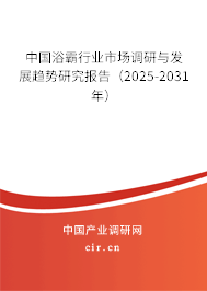 中國浴霸行業(yè)市場調(diào)研與發(fā)展趨勢研究報告(2025-2031年) 中國浴霸行業(yè)市場調(diào)研與發(fā)展趨勢研究報告(2025-2031年)