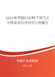 2025年中國CNG地下儲氣井市場發(fā)展現狀研究分析報告