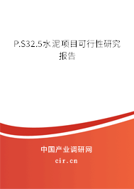 P.S32.5水泥項目可行性研究報告 P.S32.5水泥項目可行性研究報告