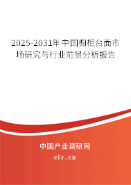 2025-2031年中國櫥柜臺面市場研究與行業(yè)前景分析報(bào)告 2025-2031年中國櫥柜臺面市場研究與行業(yè)前景分析報(bào)告