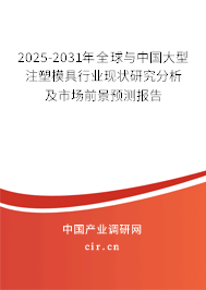 2025-2031年全球與中國大型注塑模具行業(yè)現(xiàn)狀研究分析及市場前景預(yù)測報告 2025-2031年全球與中國大型注塑模具行業(yè)現(xiàn)狀研究分析及市場前景預(yù)測報告