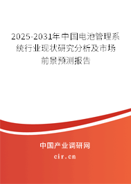 2025-2031年中國(guó)電池管理系統(tǒng)行業(yè)現(xiàn)狀研究分析及市場(chǎng)前景預(yù)測(cè)報(bào)告