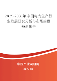 2025-2031年中國電力生產(chǎn)行業(yè)發(fā)展研究分析與市場前景預(yù)測報告 2025-2031年中國電力生產(chǎn)行業(yè)發(fā)展研究分析與市場前景預(yù)測報告