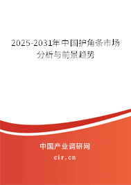 2024-2030年中國護(hù)角條市場分析與前景趨勢